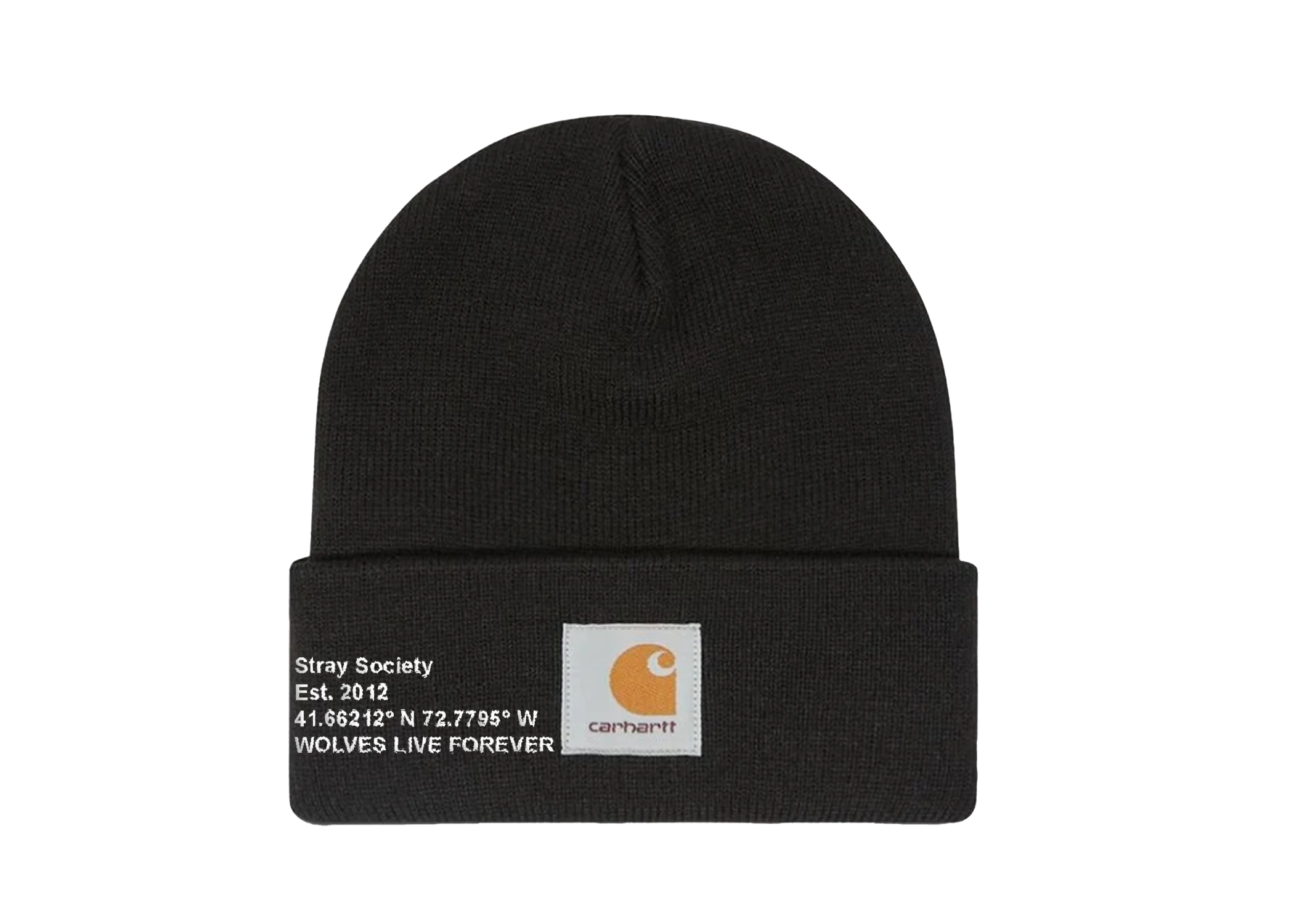 CARHARTT X STRAY BEANIE