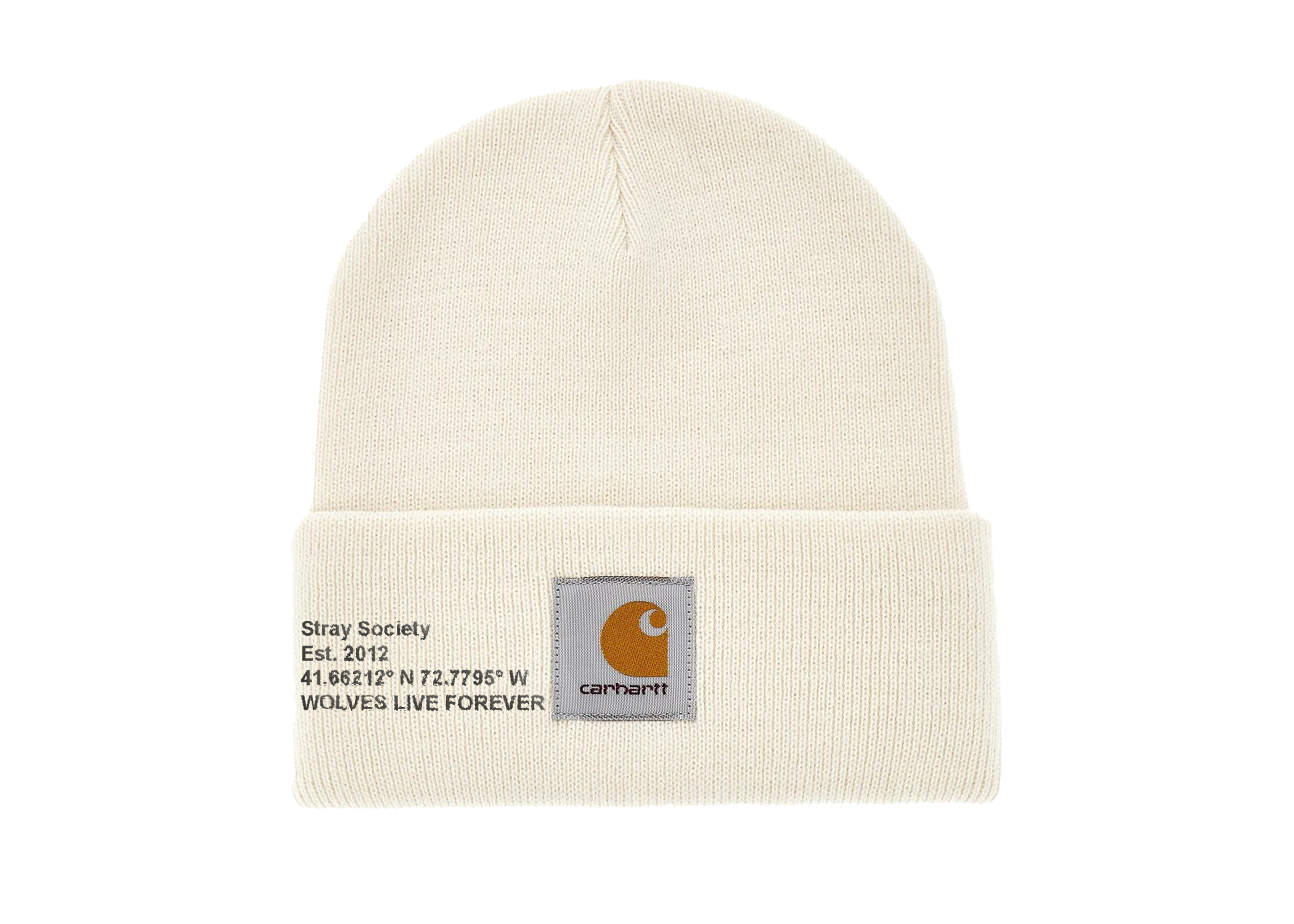 CARHARTT X STRAY BEANIE