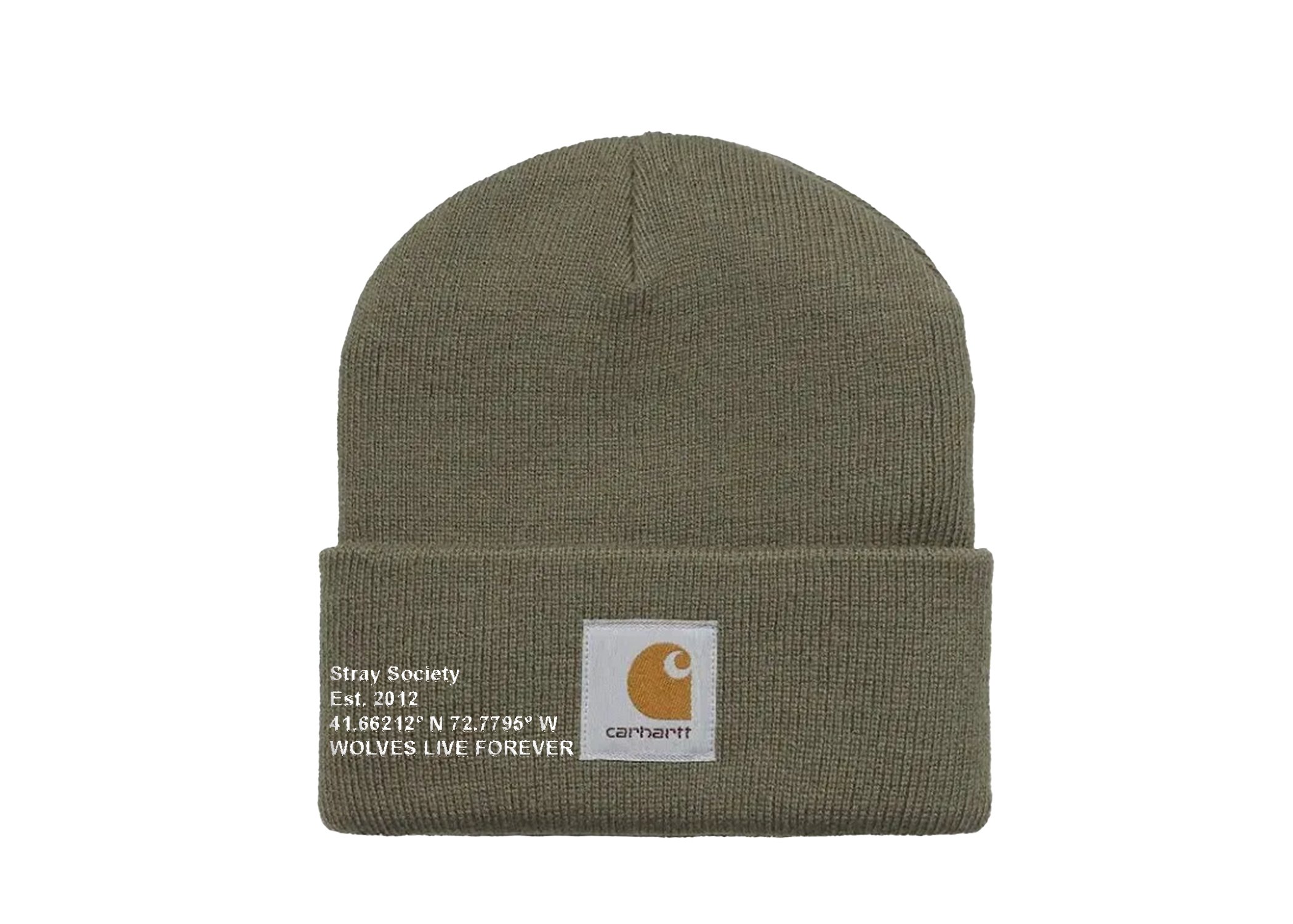 CARHARTT X STRAY BEANIE