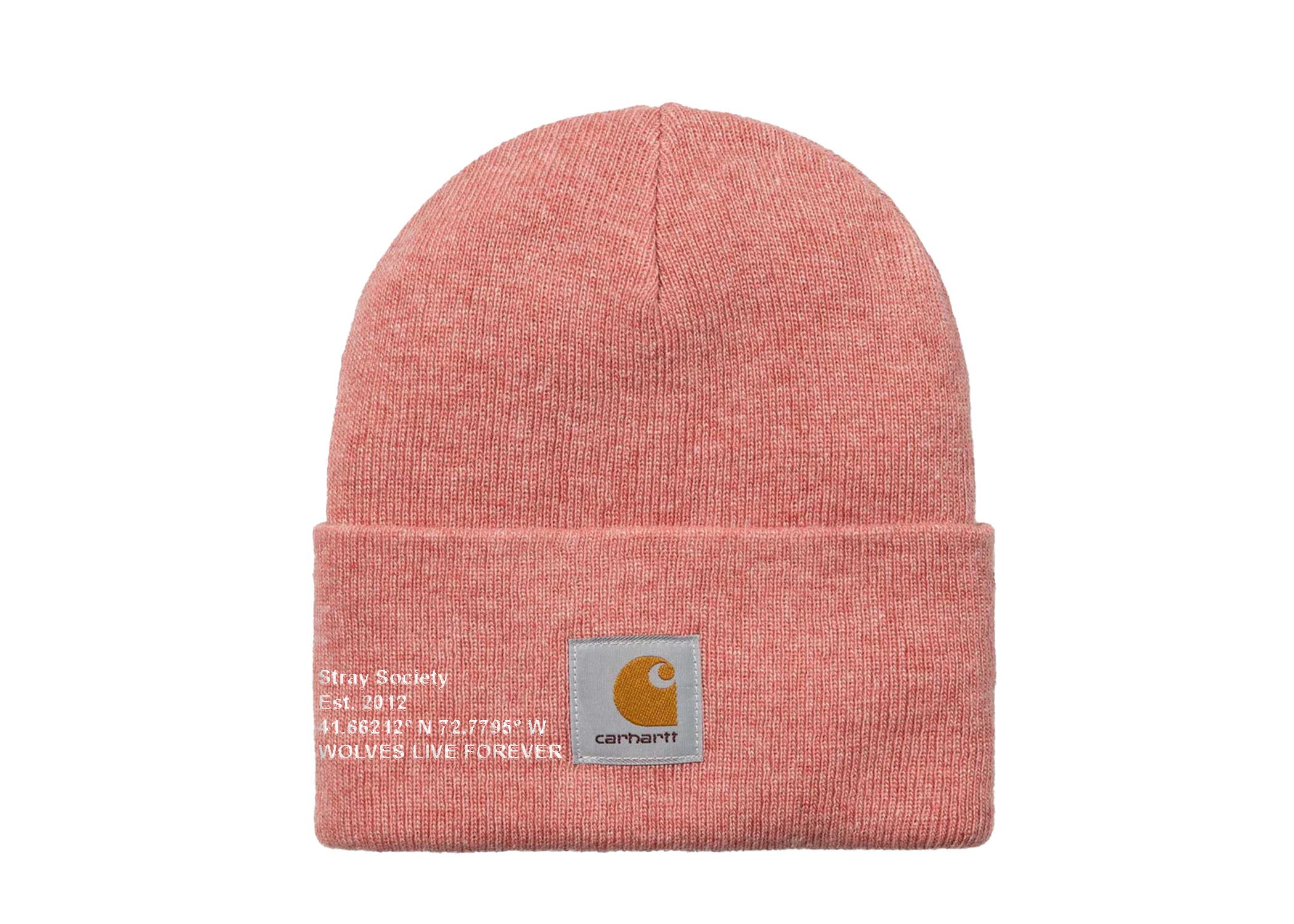 CARHARTT X STRAY BEANIE