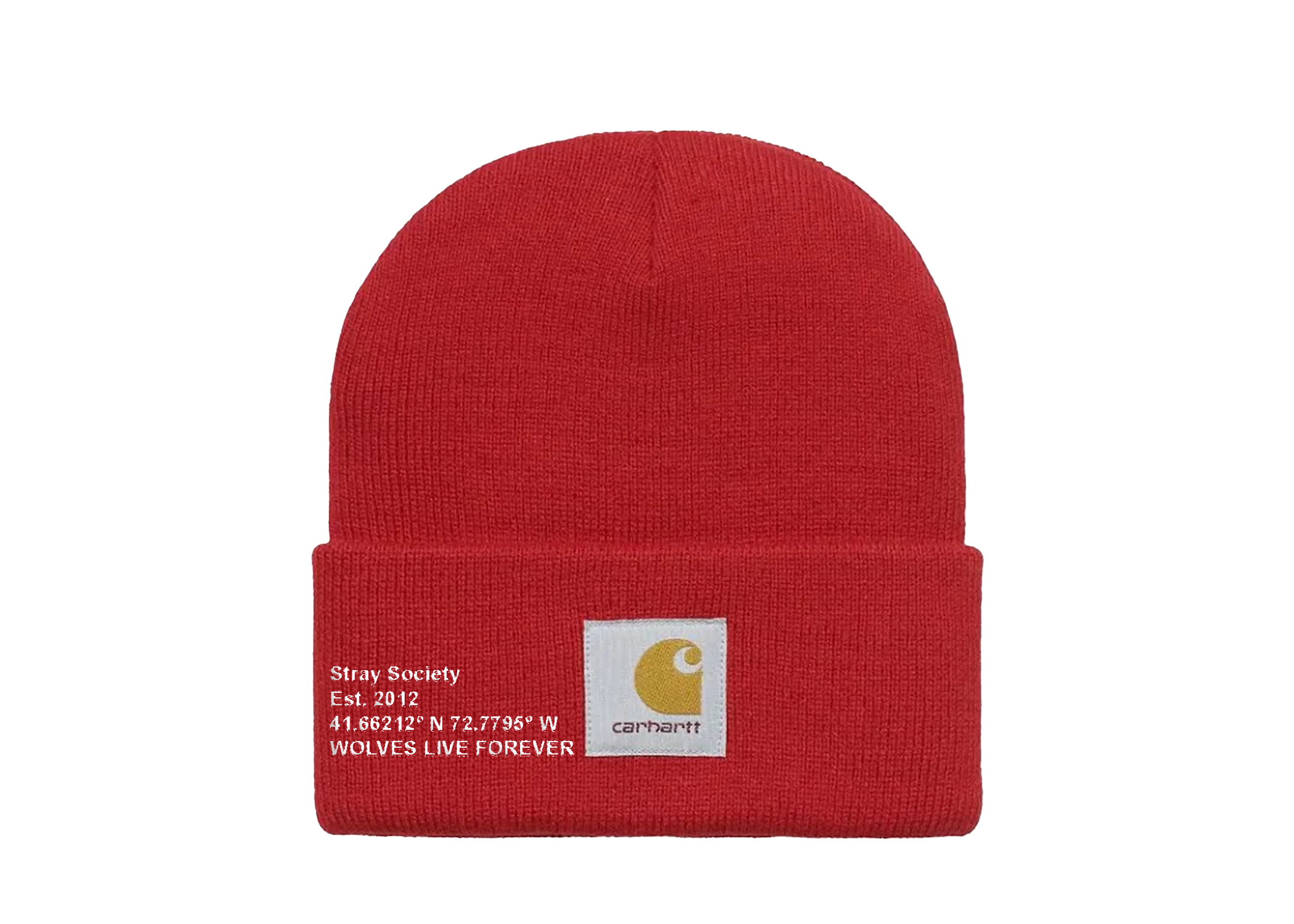 CARHARTT X STRAY BEANIE